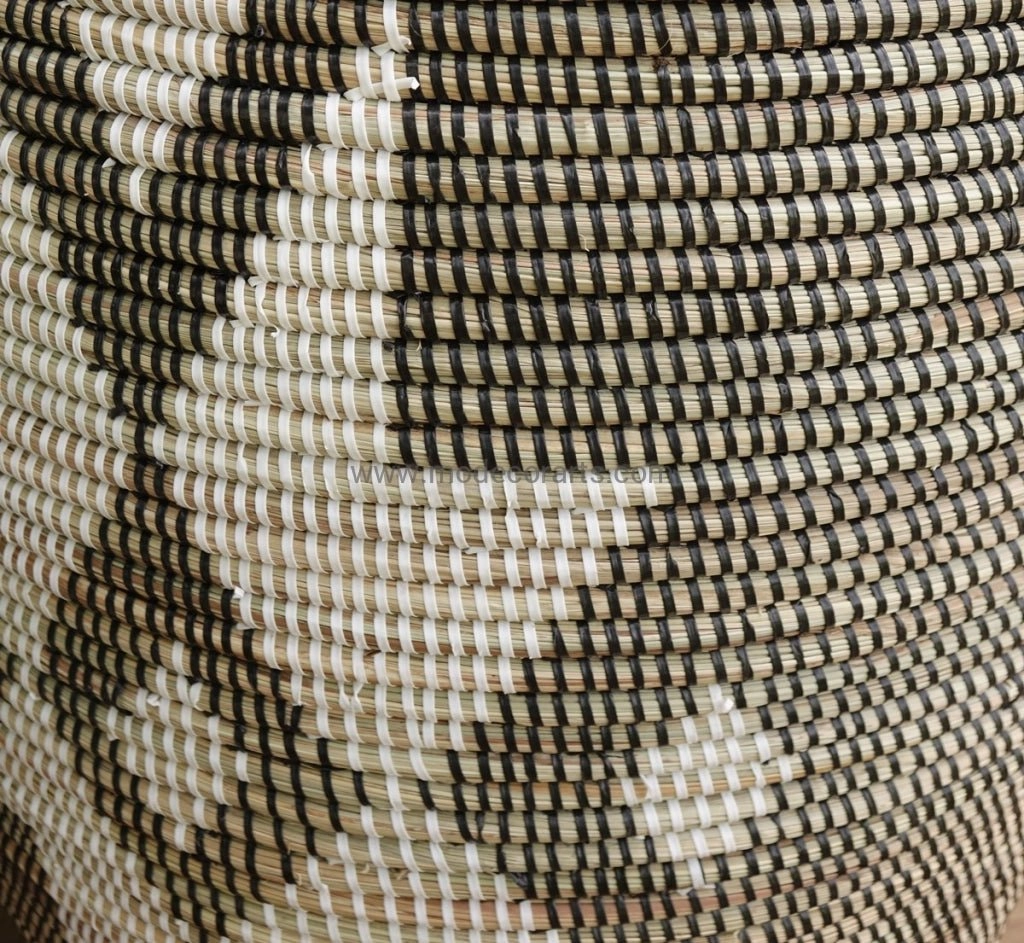  (XL)/