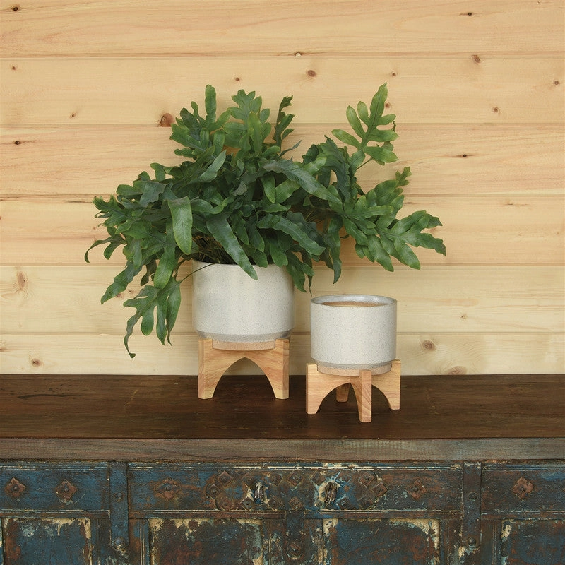 Ames Cachepot, Ceramic with Wood - Lrg - White, Natural