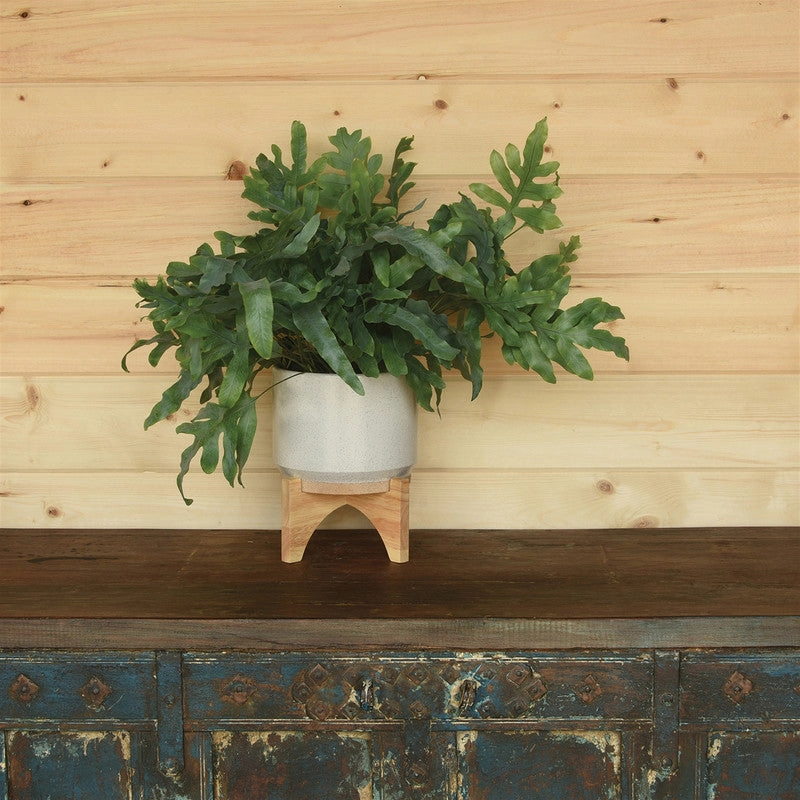 Ames Cachepot, Ceramic with Wood - Lrg - White, Natural