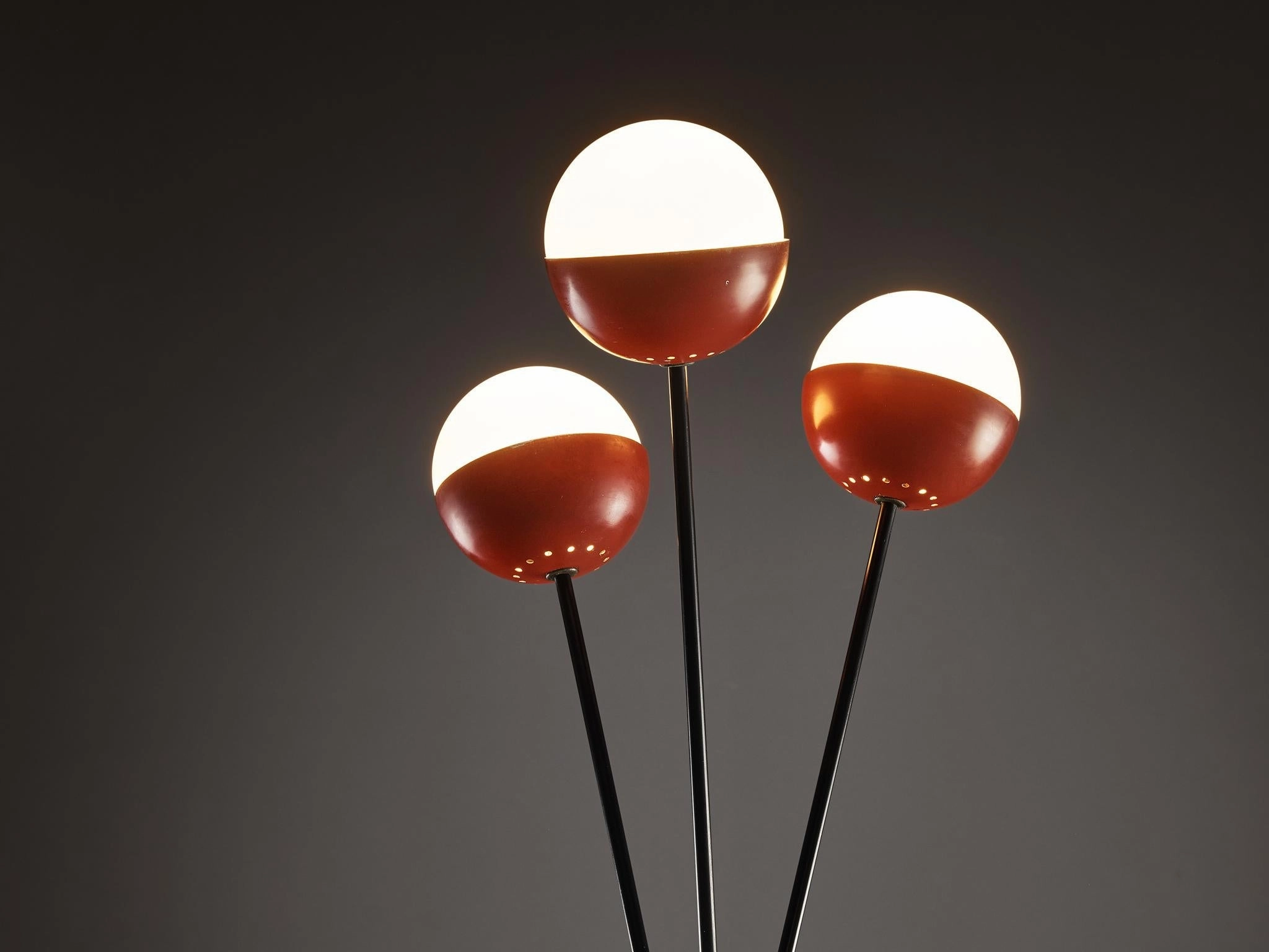 Angelo Brotto for Esperia Floor Lamp in Metal, Opaline Glass and Cane