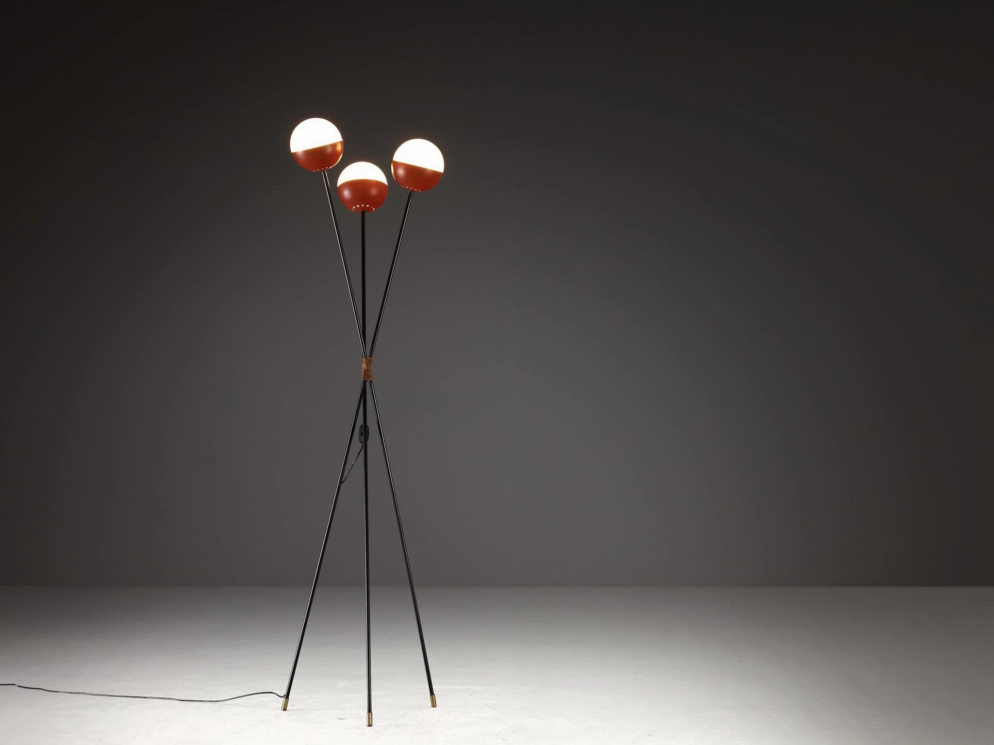 Angelo Brotto for Esperia Floor Lamp in Metal, Opaline Glass and Cane