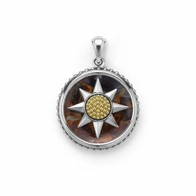 Anthem Two-Tone Pietersite Circle Burst Amulet