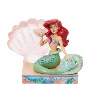 Ariel Clear Resin Shell Decorative Mirror,Wall Mirror