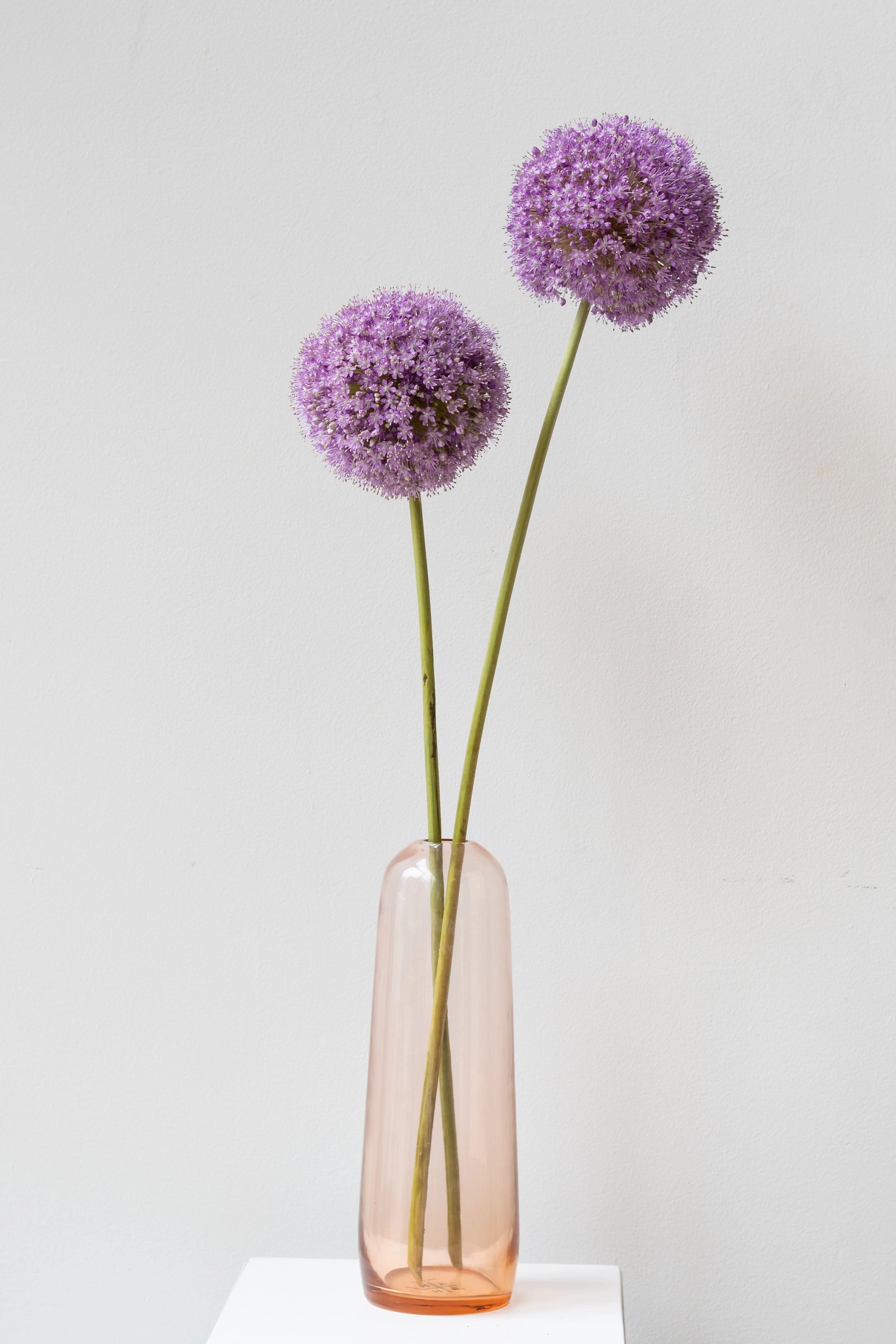 Aurora Pill Vase Blush Small