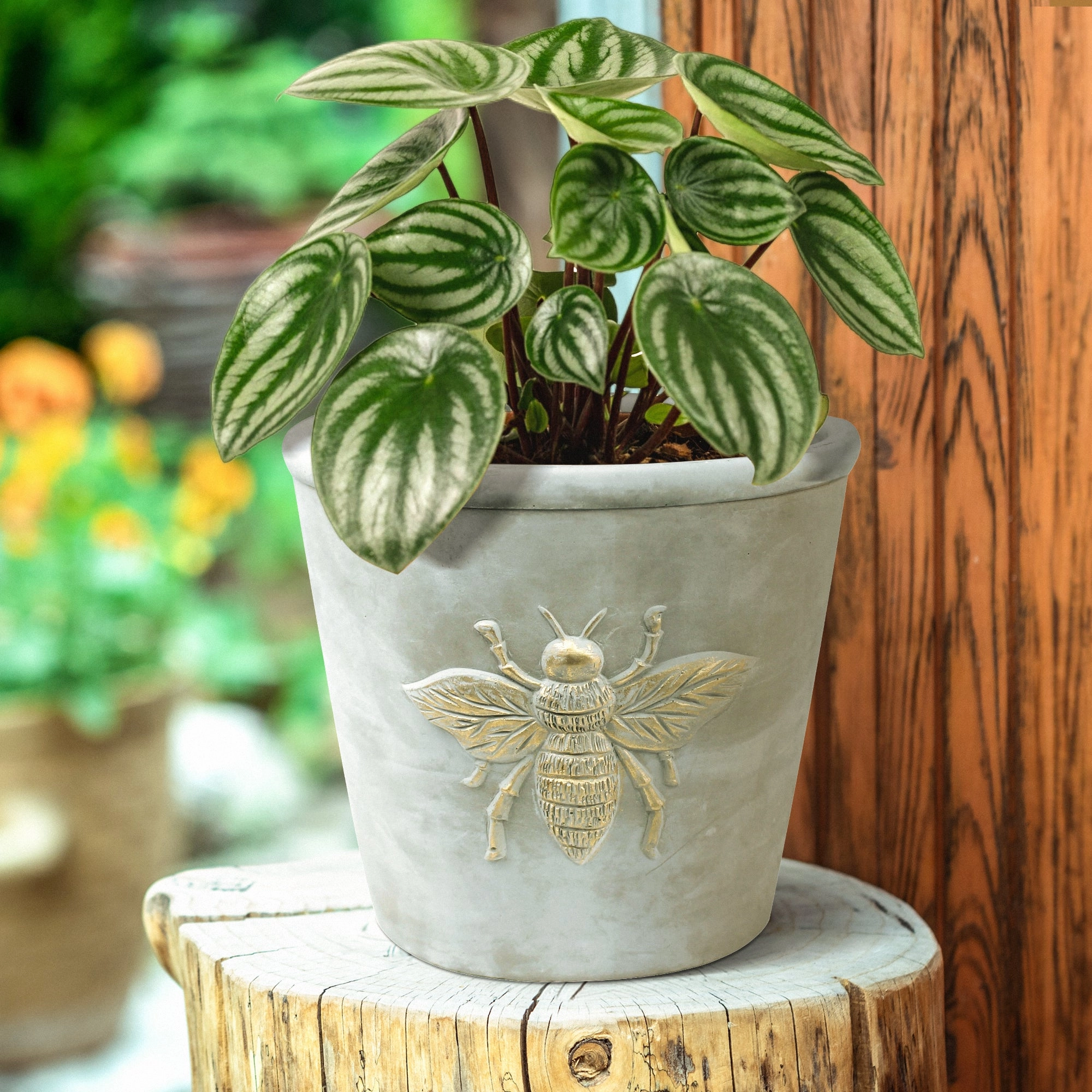 Bee Cachepot, Cement