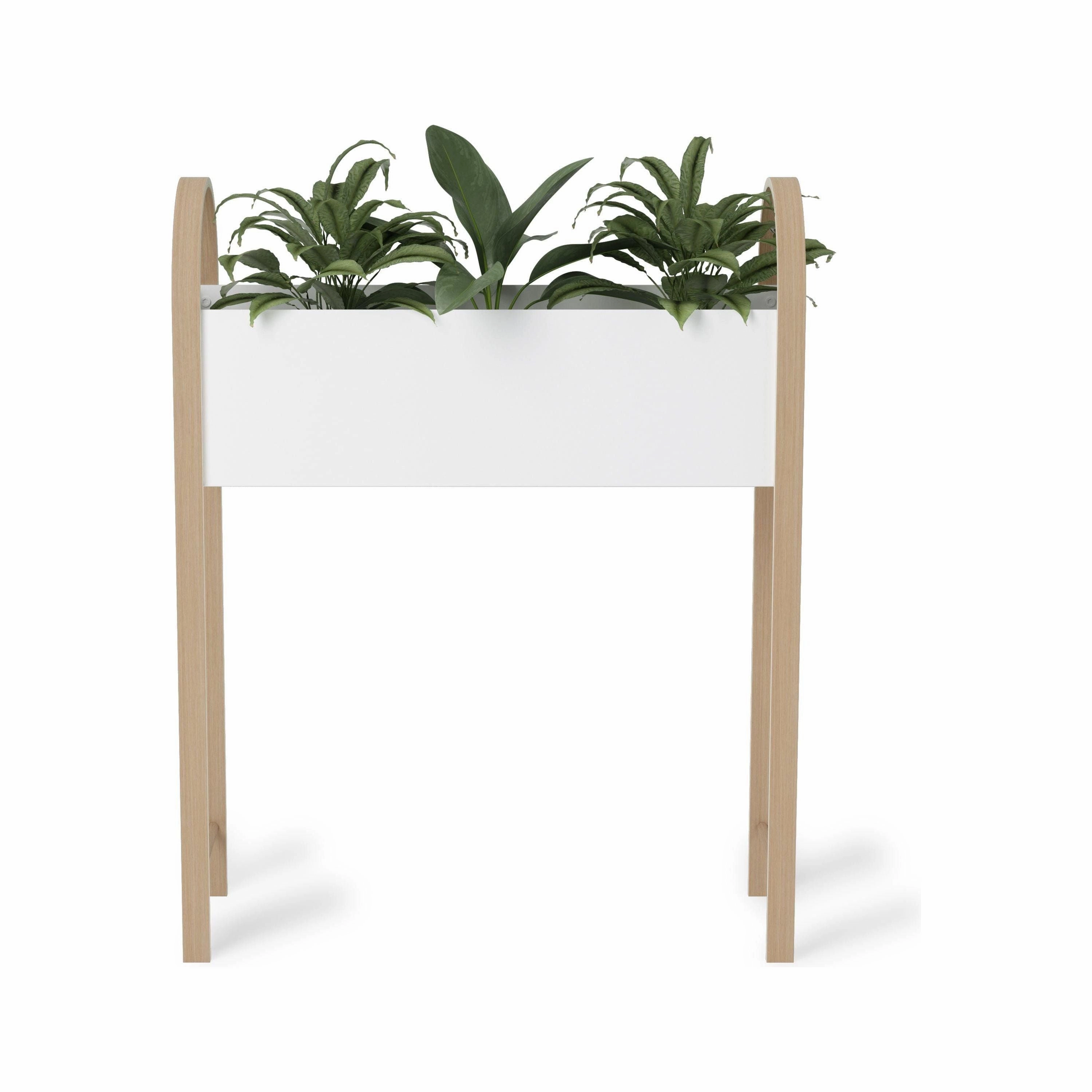 Bellwood Elevated Garden Bed & Storage Box