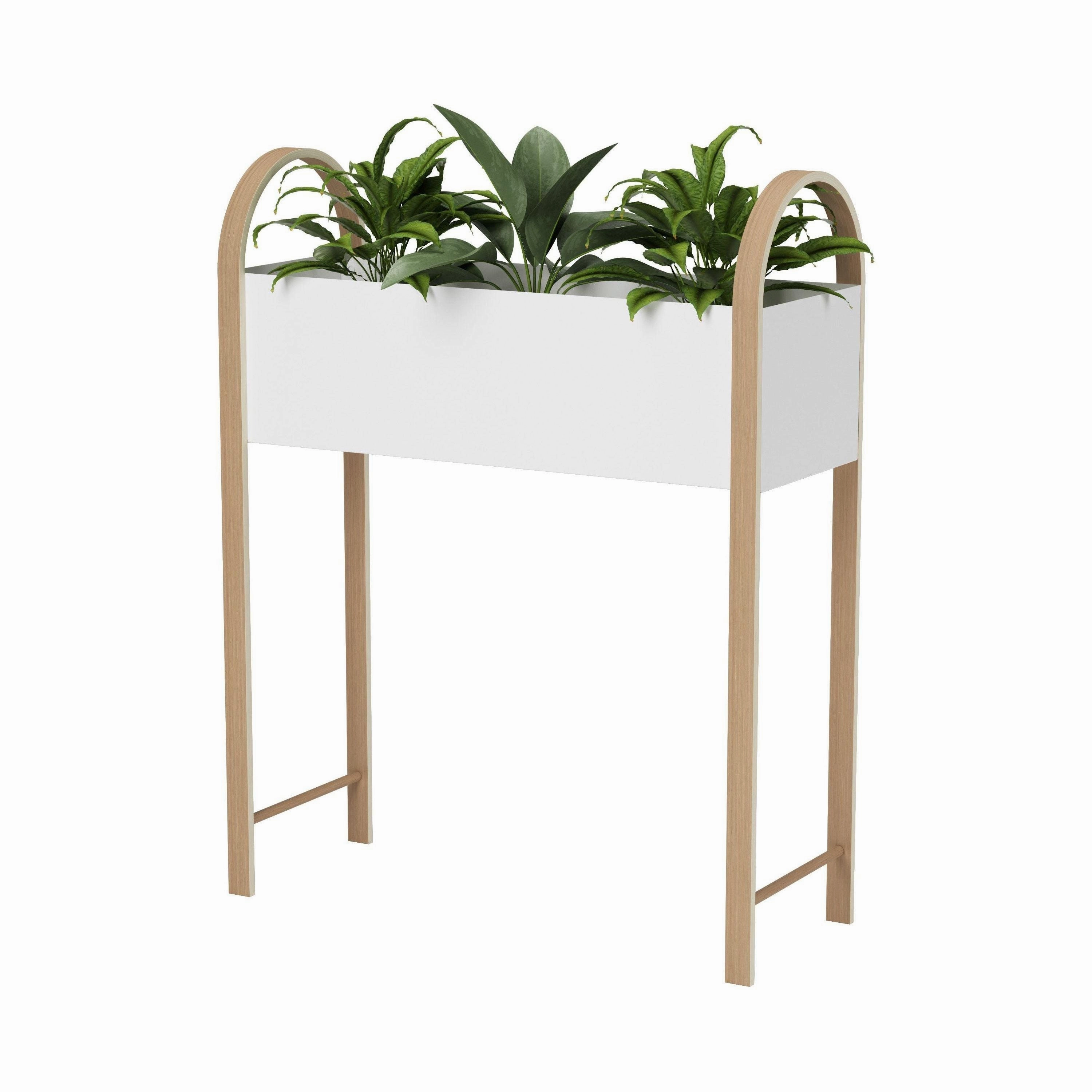 Bellwood Elevated Garden Bed & Storage Box