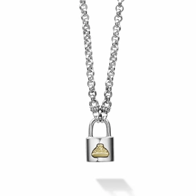 Beloved Petite Two-Tone Lock Necklace