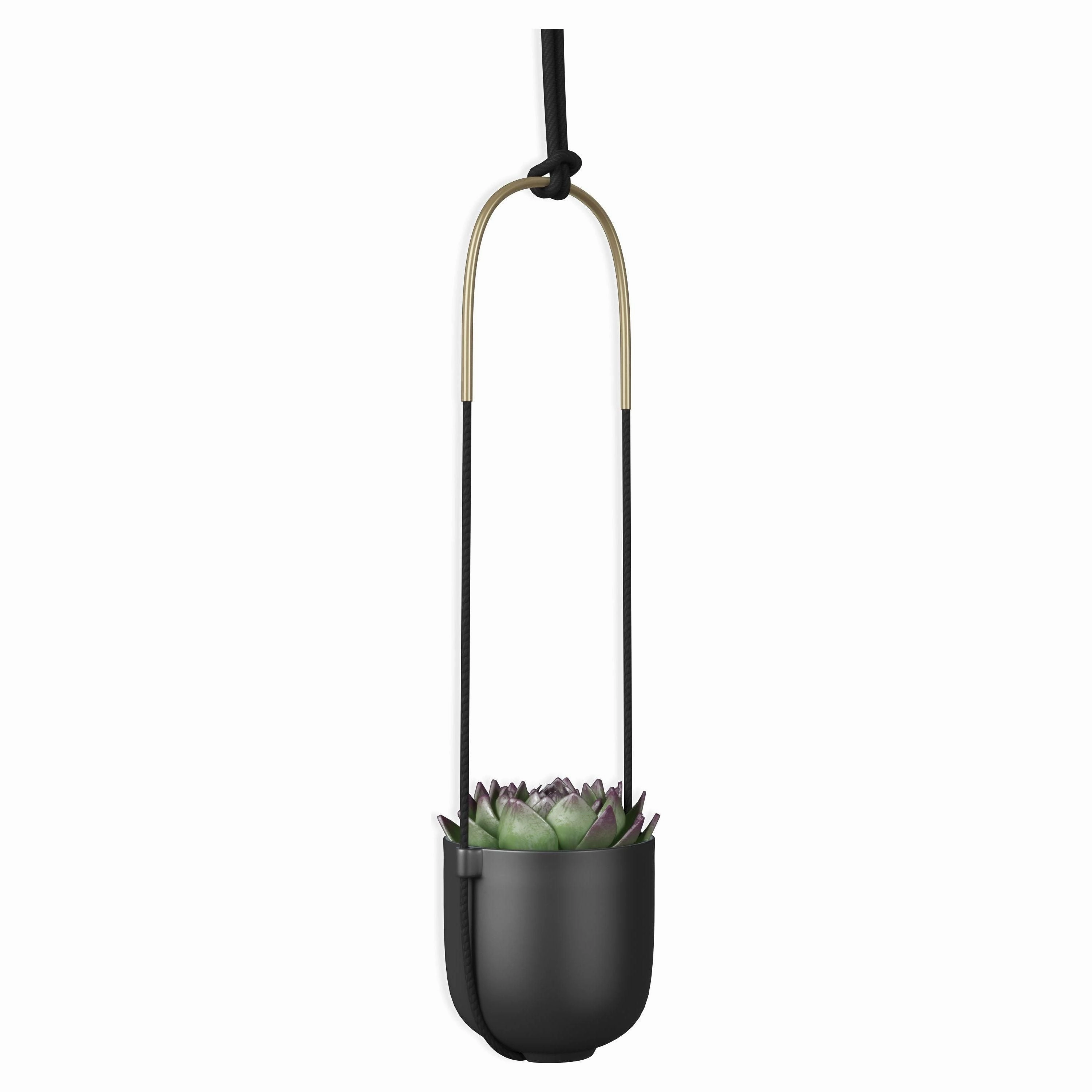 Bolo Hanging Planter