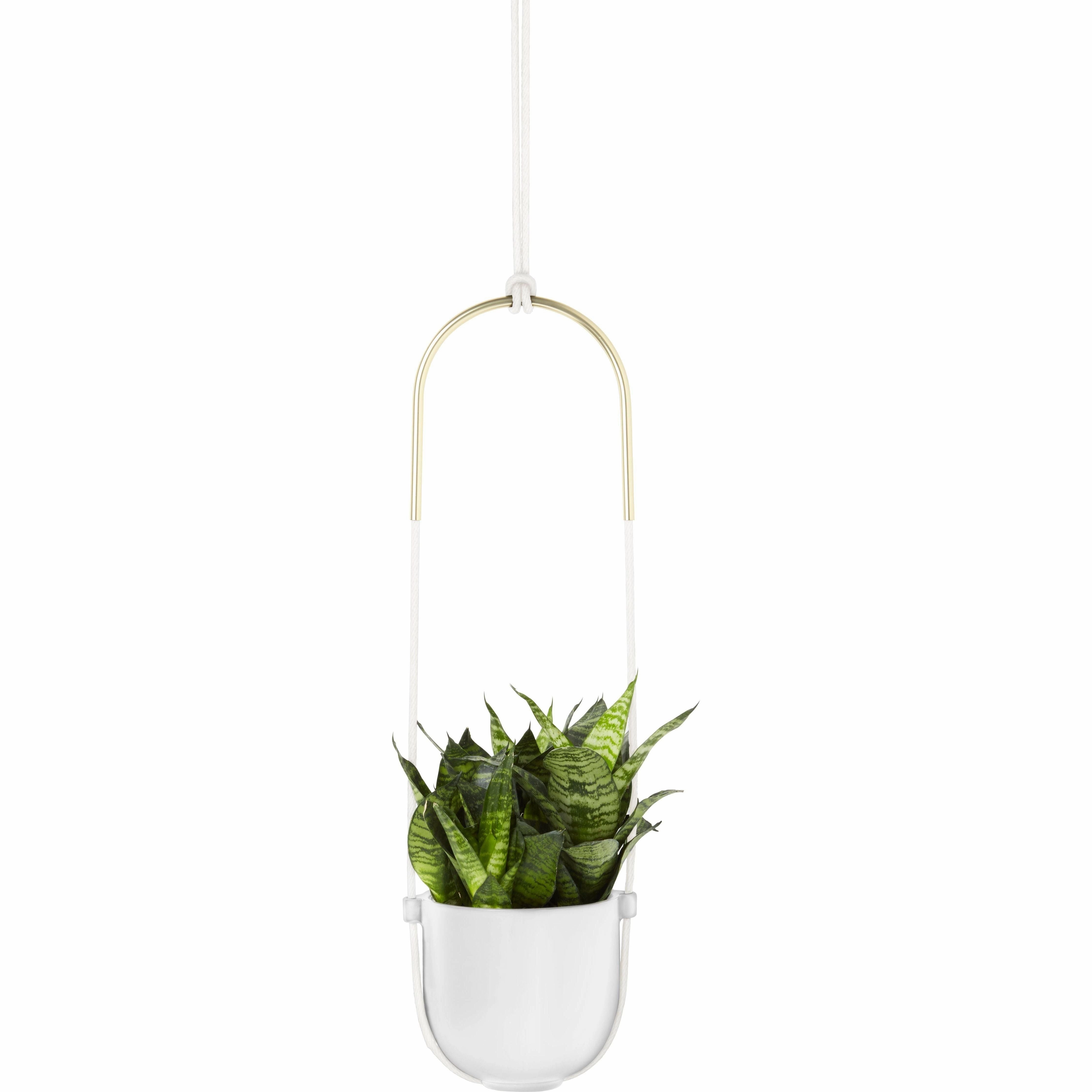 Bolo Hanging Planter