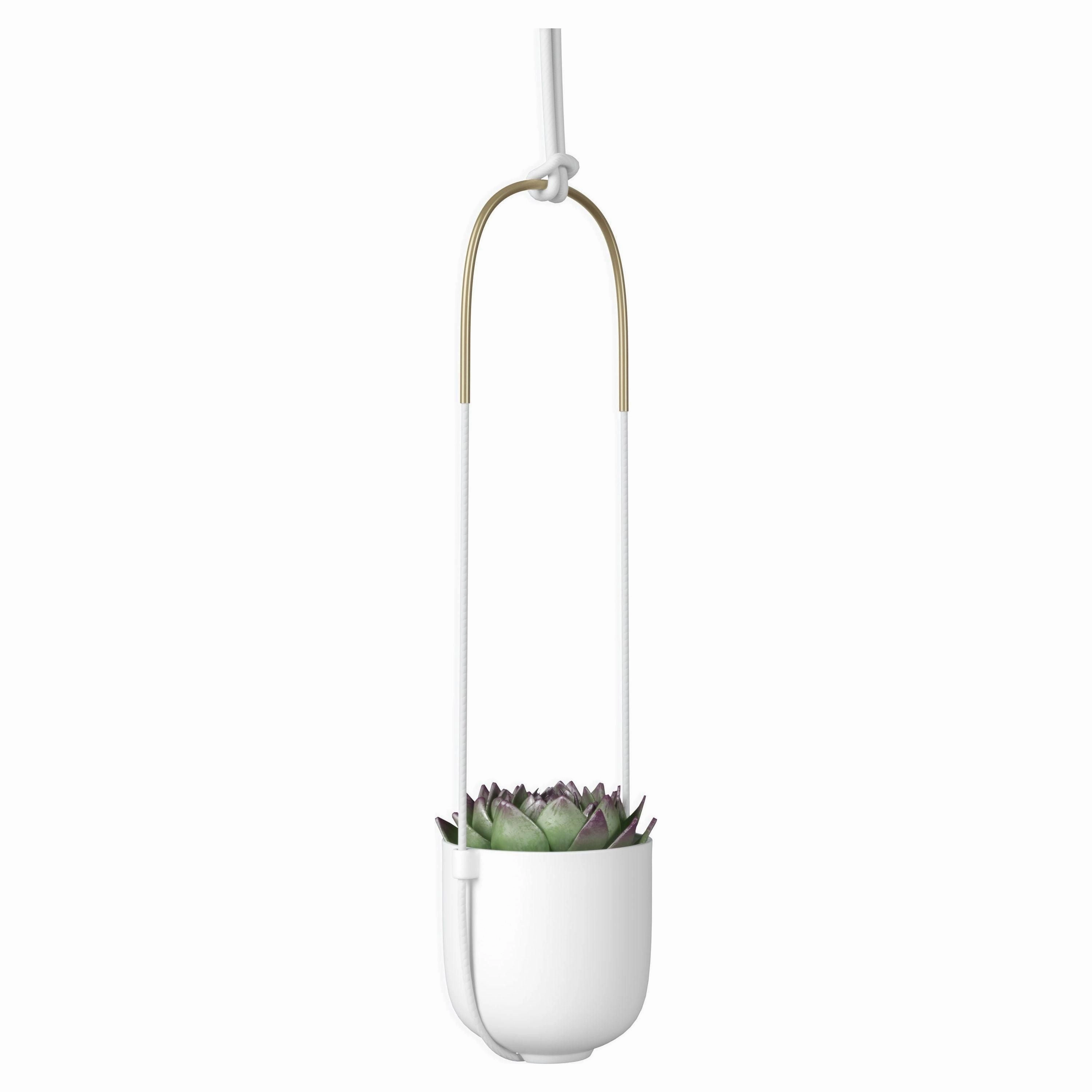 Bolo Hanging Planter
