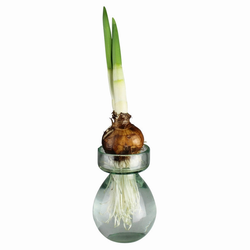 Bulb Vase - Recycled - Clear