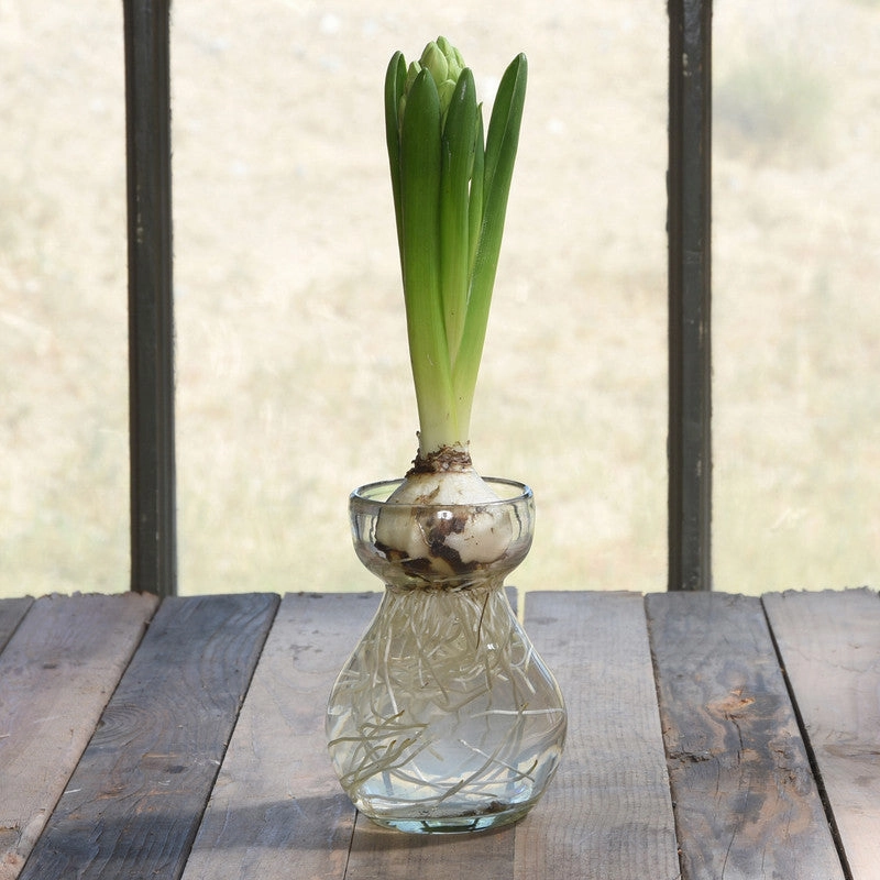 Bulb Vase - Recycled - Clear