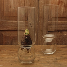Bulb Vase Extra Tall Clear Vase,Ceramic Vase