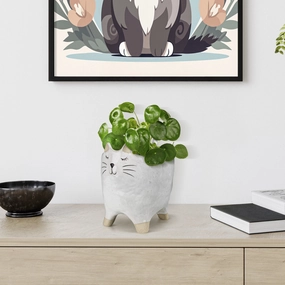 Cat Cachepot, Ceramic Vase,Ceramic Vase