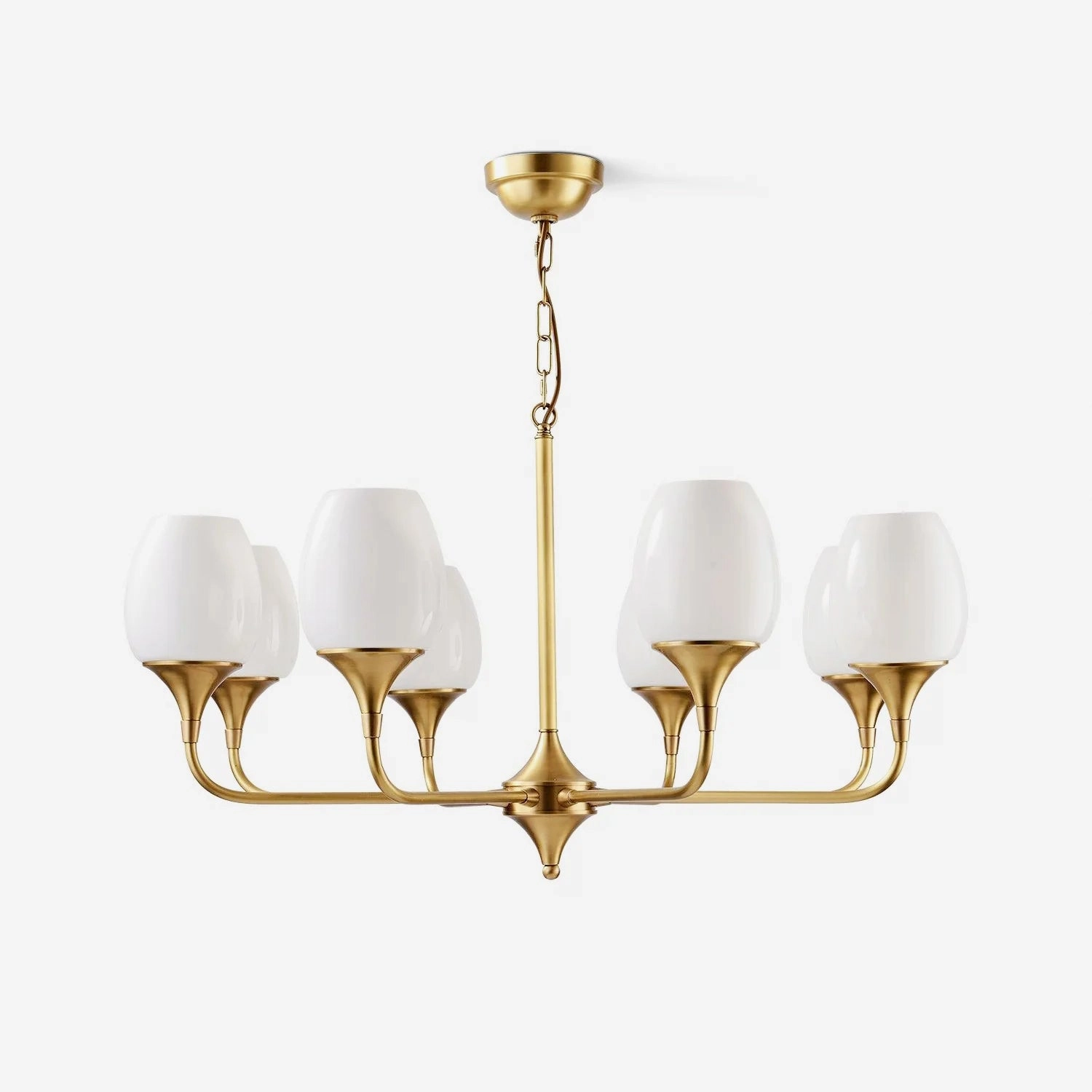 Charlie Chandelier chandelier,ceiling light,decorative lighting