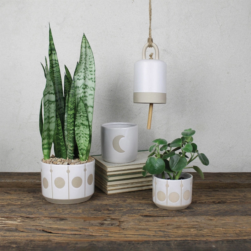 Cielo Cachepot with Circles, Ceramic - Lrg