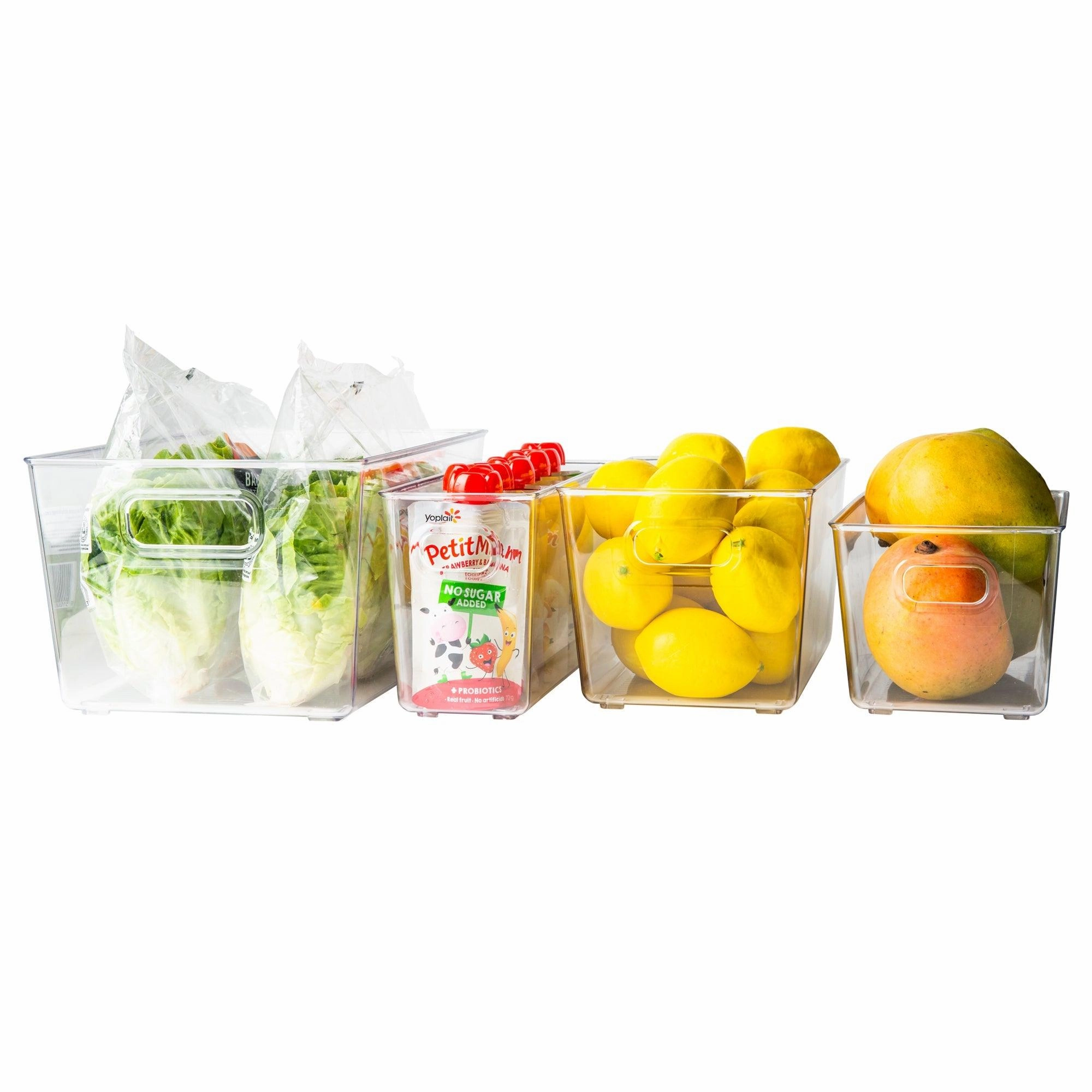 Clear Storage Tub Medium
