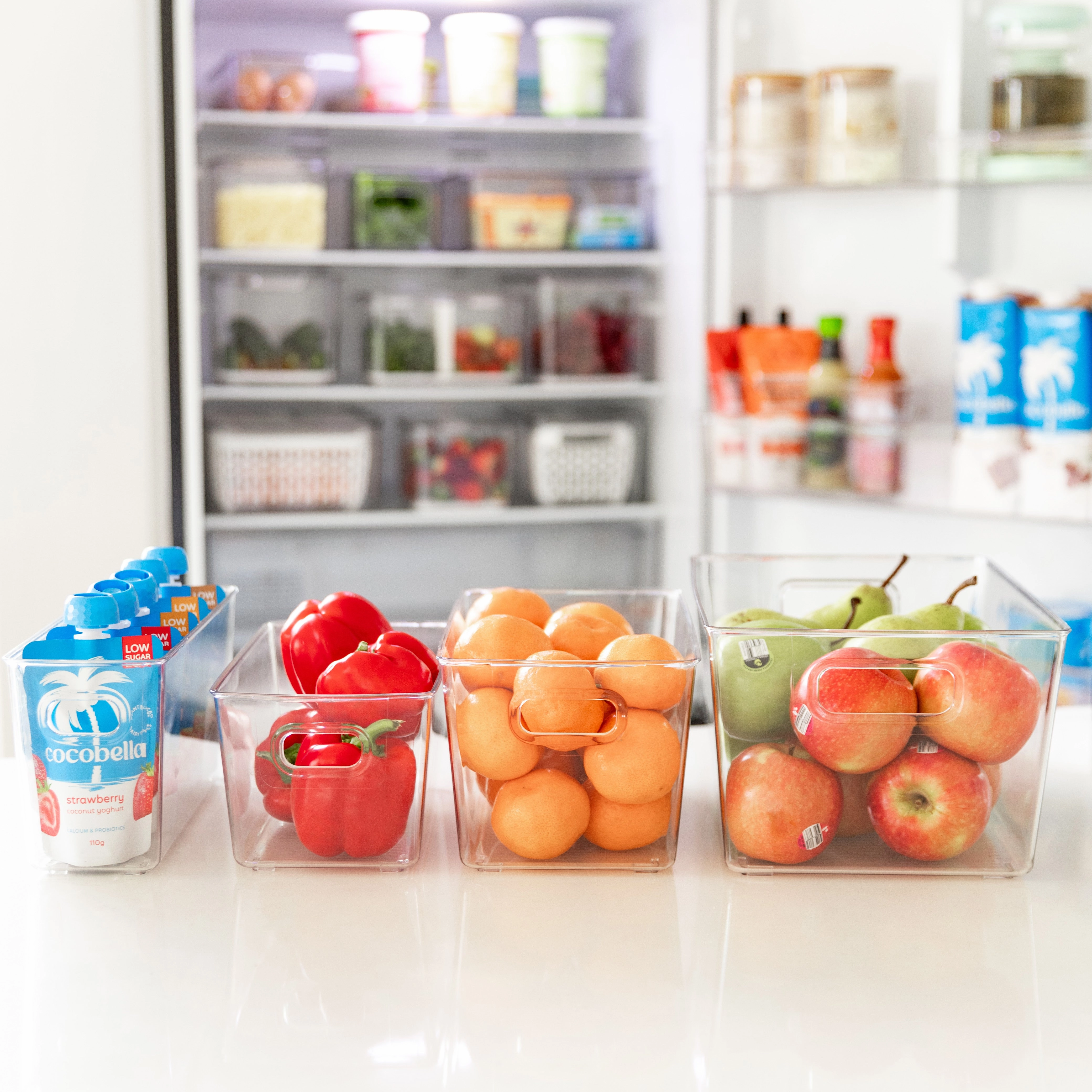 Clear Storage Tub Medium