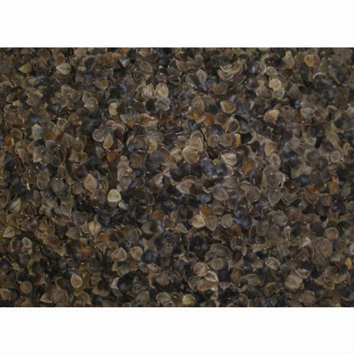 Daily Boutik Japanese size 14 x 20 inch Organic Buckwheat Pillow