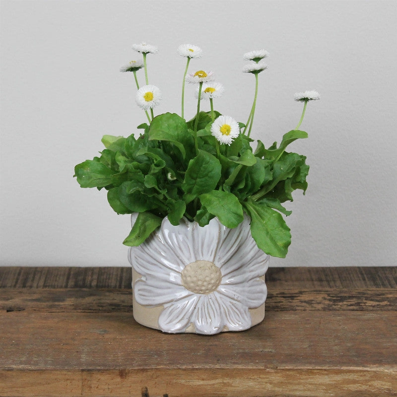 Daisy Cachepot, Ceramic