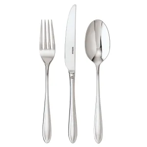 Dream French sauce spoon, stainless steel napkin rings, dining placemats