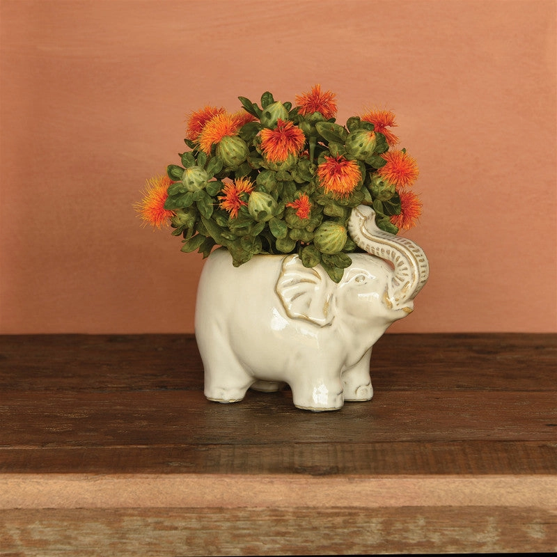 Elephant Cachepot, Ceramic - Fancy White