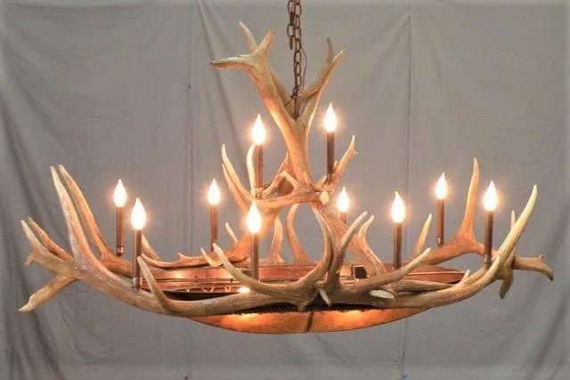 Elk Horn & Rawhide Oval Chandelier