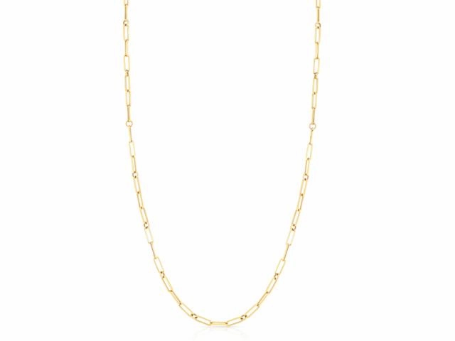 Fine Link Paperclip Chain (22 inches)
