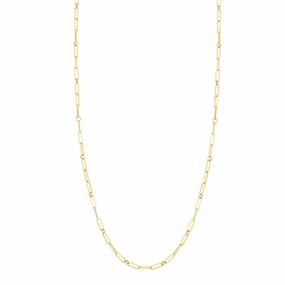 Fine Link Paperclip Chain (22 inches)