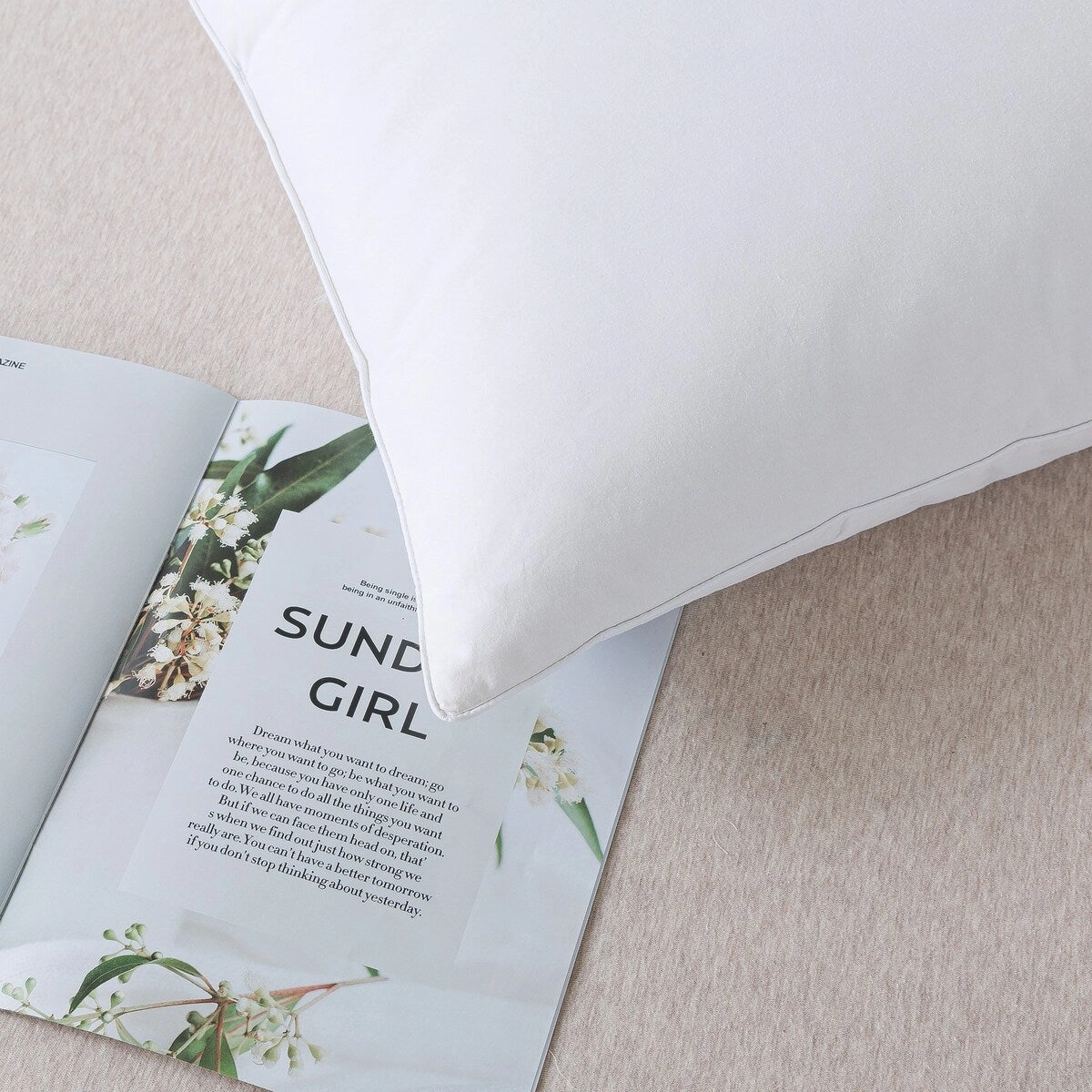 Fleece & Feather Wool Surround with Feather Core Pillow - White