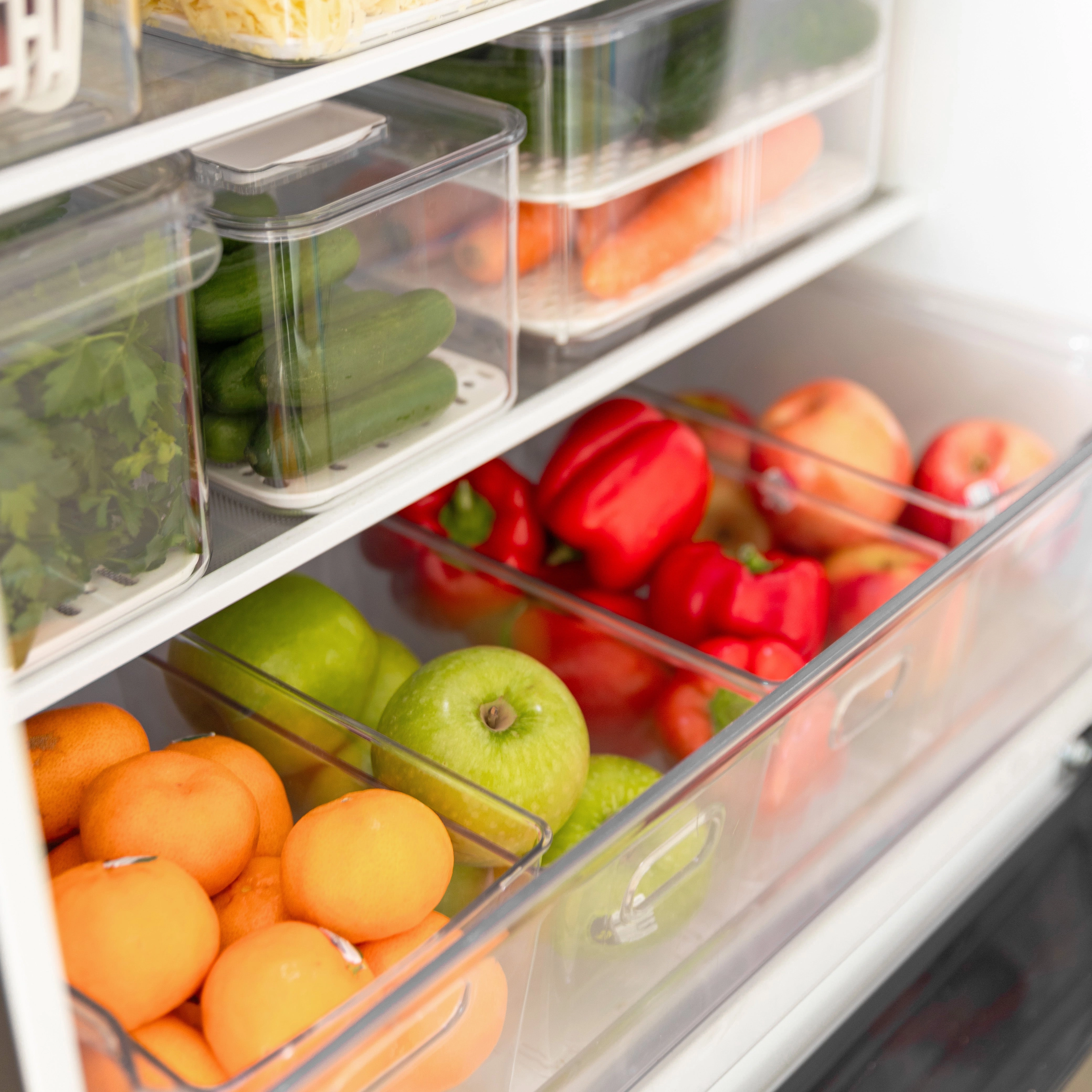 Fridge Fresh Keeper Storage Pack