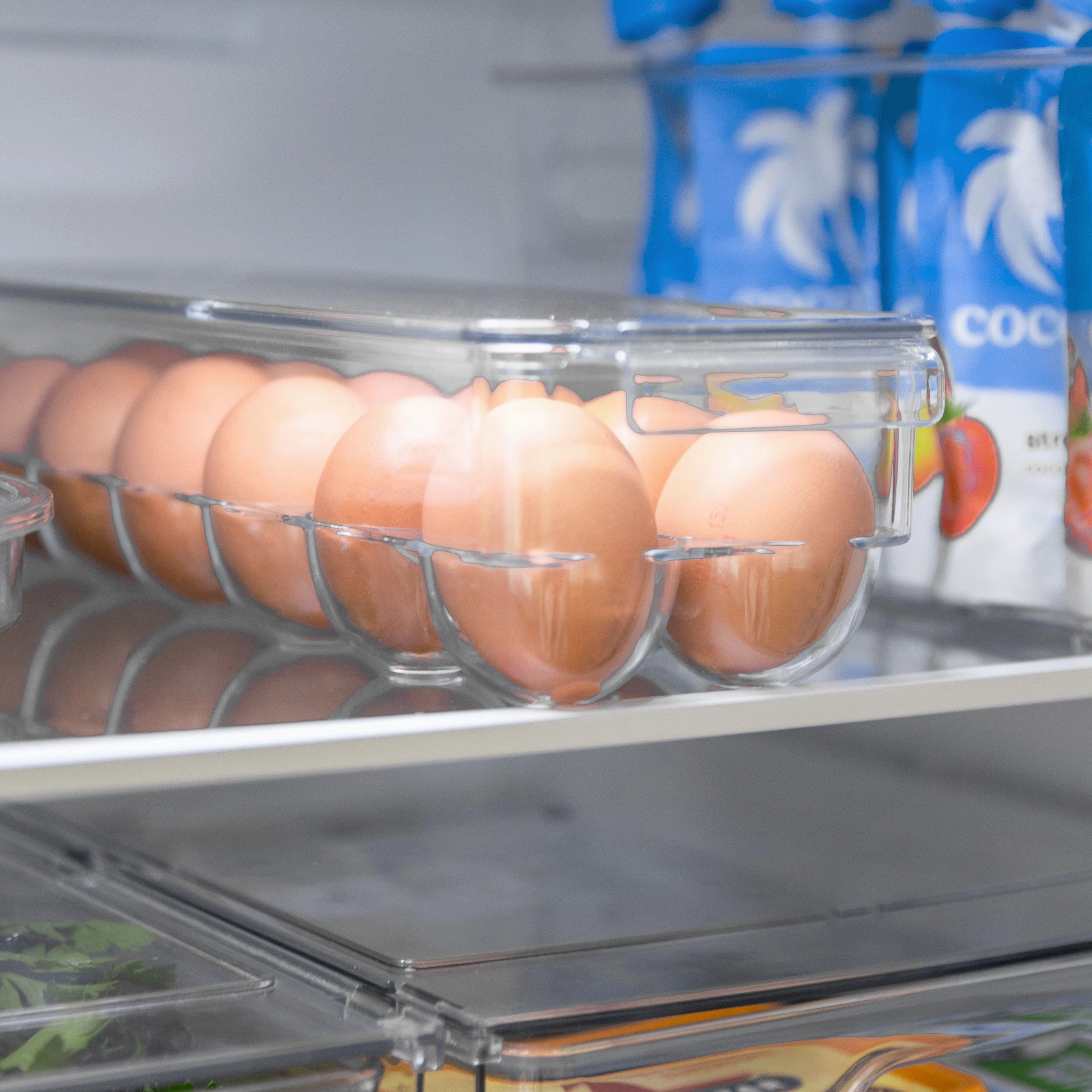 Fridge Fresh Value Pack