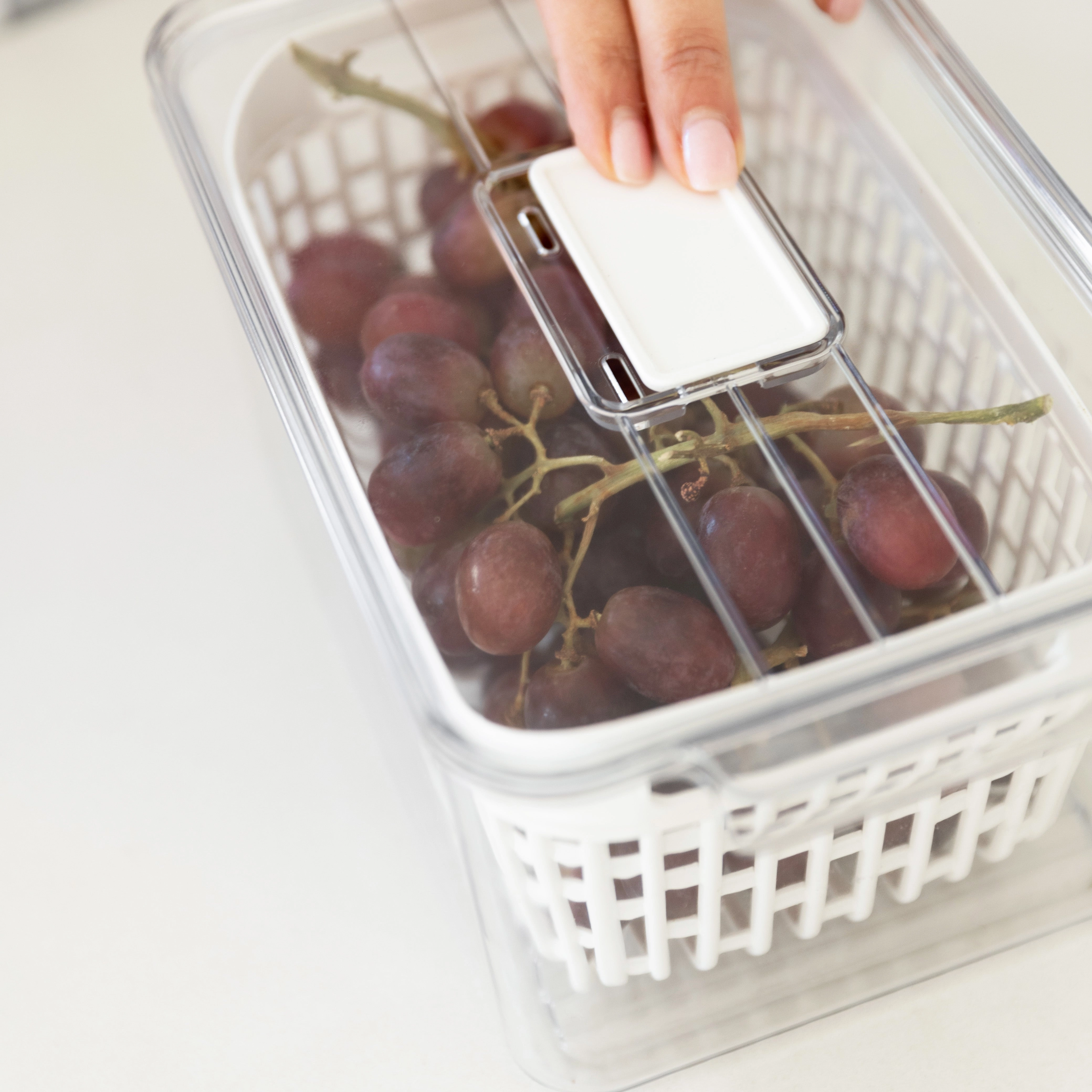 Fridge Storage Container with Basket (Single)