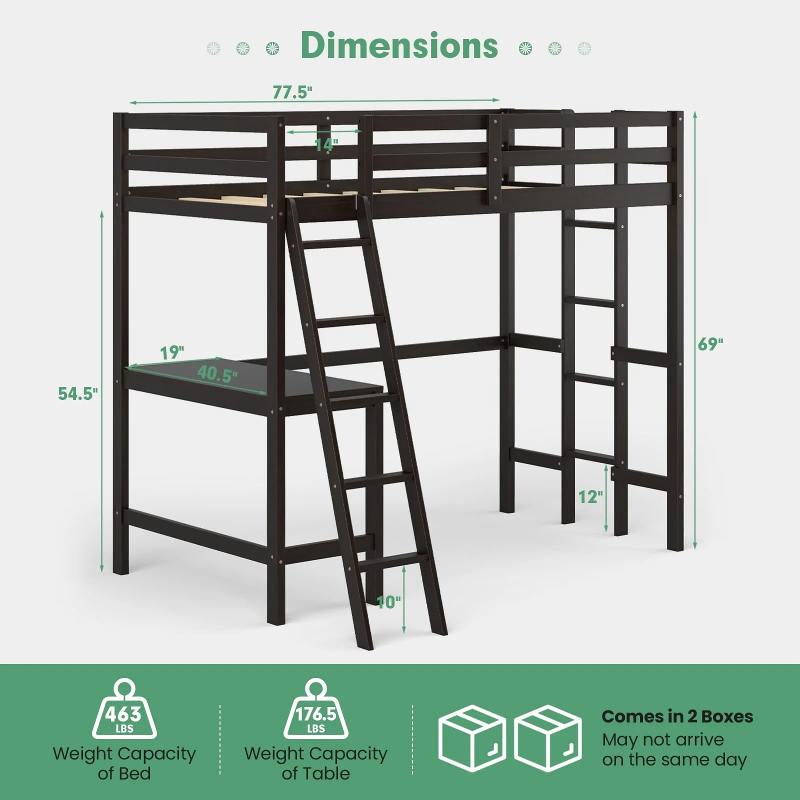Giantex Twin Size Loft Bed with Desk, Solid Wood Loft Bed with 2 Ladders & Full Length Guardrail
