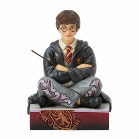 Harry Potter Jim Shore Harry with Wand 4.13" Figurine Decorative Mirror,Home Decor Mirror