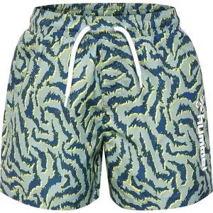 Hummel Chill Swim Shorts Blue Surf
