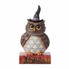 Jim Shore Heartwood Creek Pint Sized Halloween Owl Figurine Decorative Mirror,Home Decor Mirror