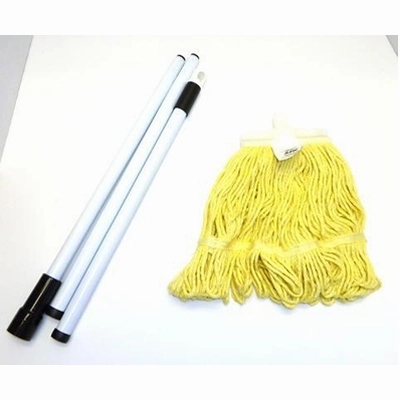 Lady Bug Mop Bucket Combo