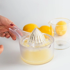 Lemon Juicer Figurines,Decorative Ornaments