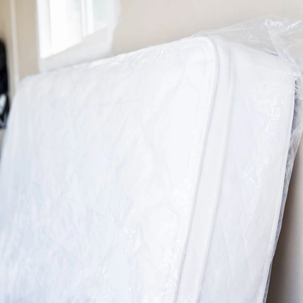 Linenspa Sealable Mattress Storage Bag - 1 Pack