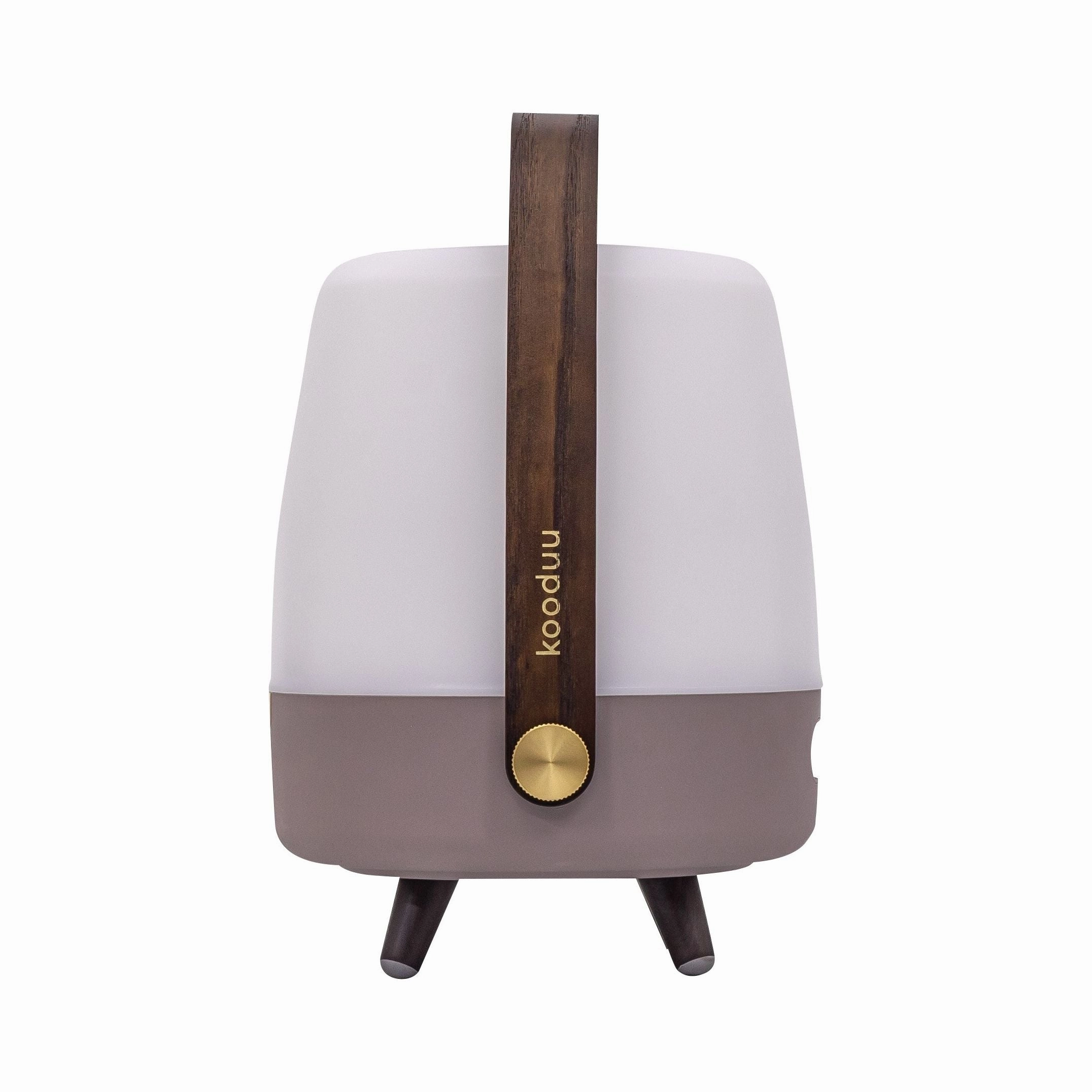 Lite Up Play Mini Rechargeable Indoor/Outdoor Speaker Lamp