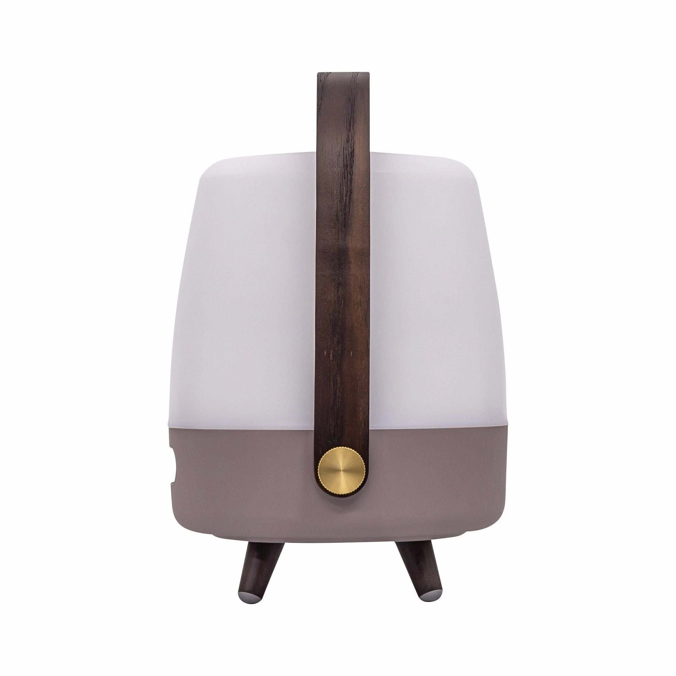 Lite Up Play Mini Rechargeable Indoor/Outdoor Speaker Lamp