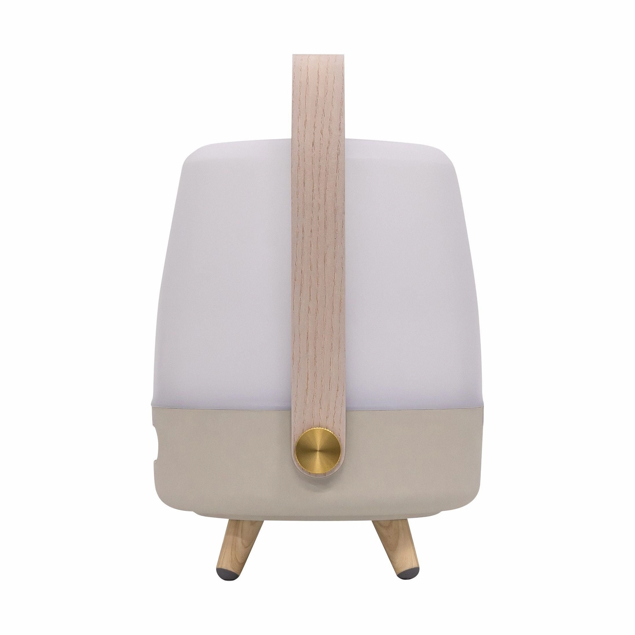 Lite Up Play Mini Rechargeable Indoor/Outdoor Speaker Lamp