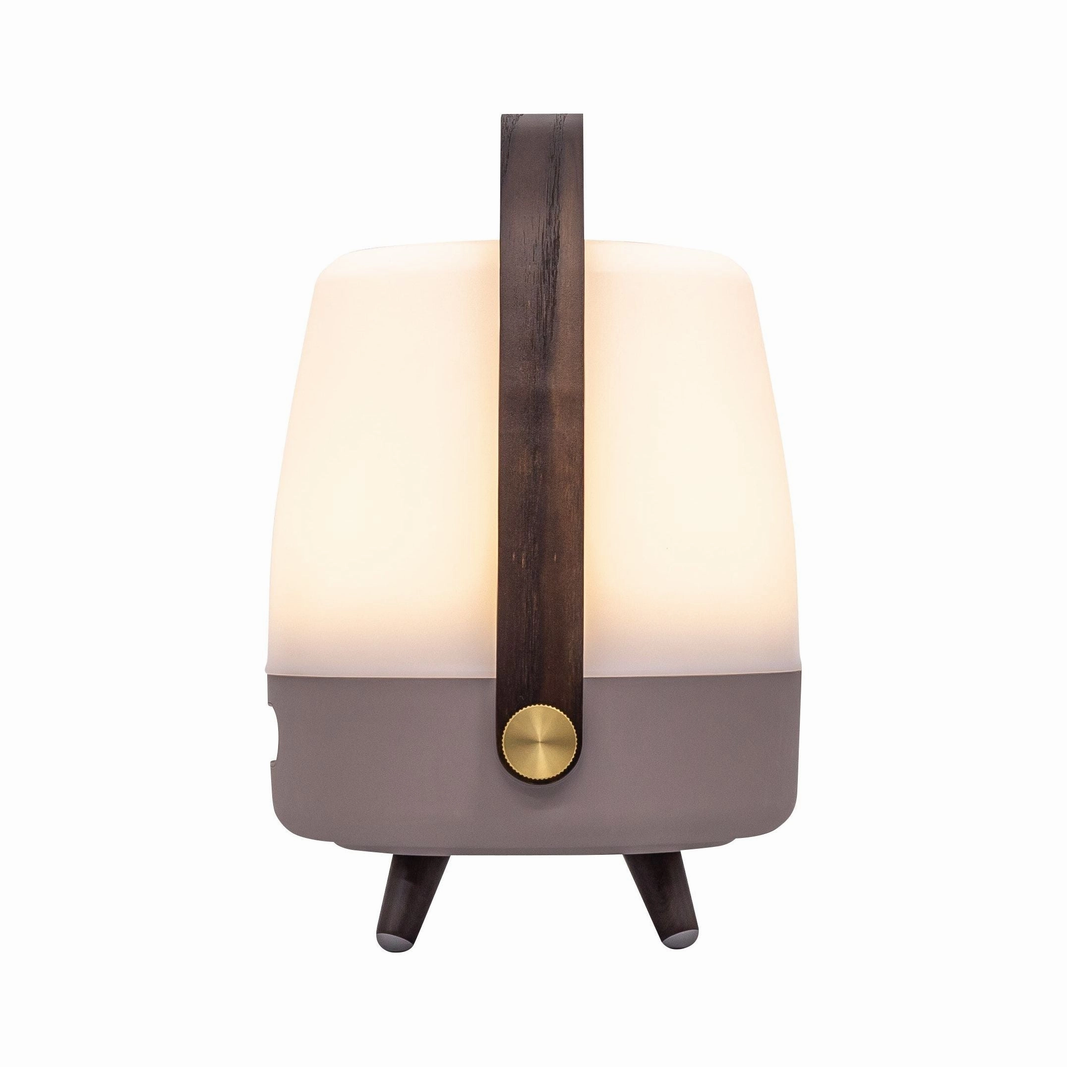 Lite Up Play Mini Rechargeable Indoor/Outdoor Speaker Lamp