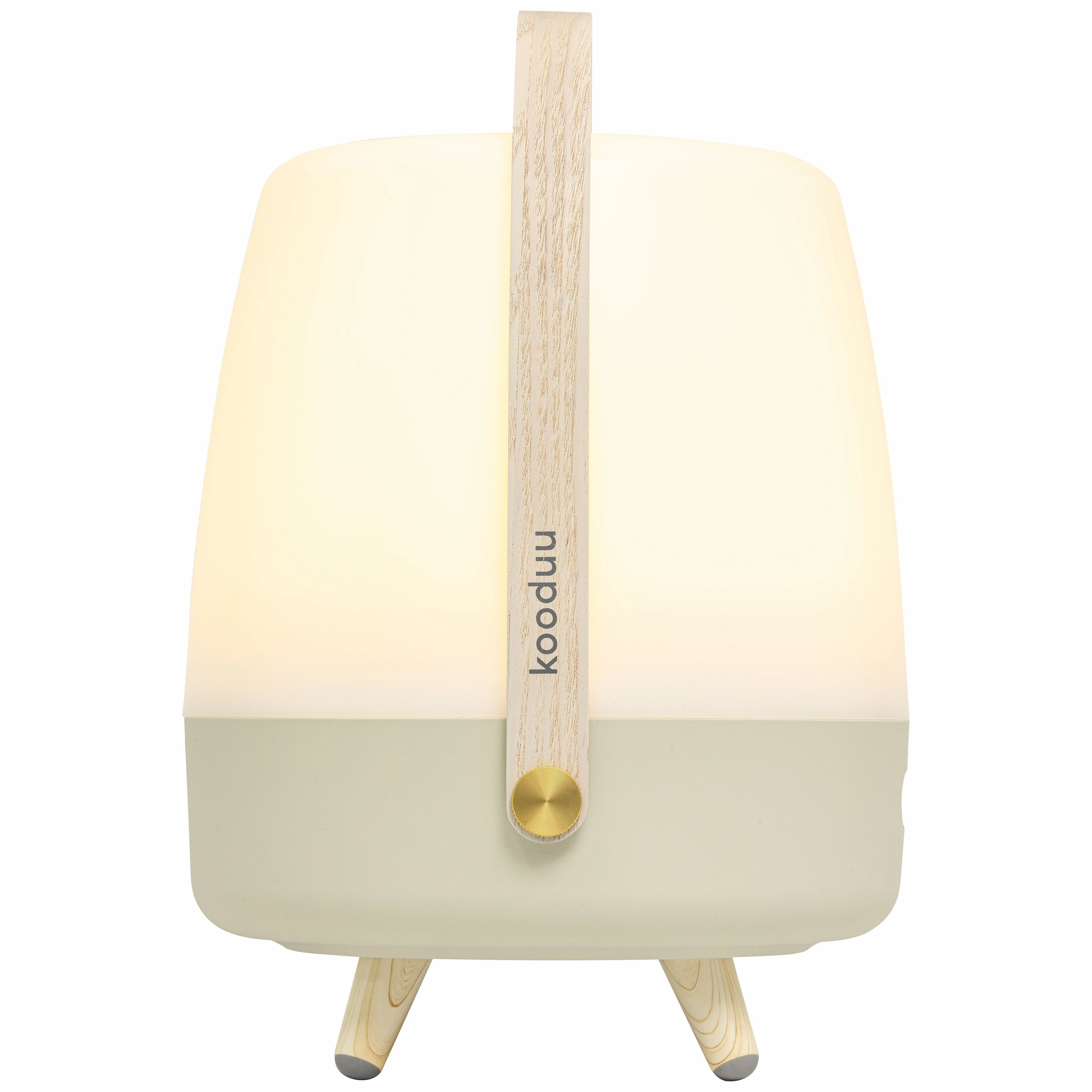 Lite Up Play Rechargeable Indoor/Outdoor Speaker Lamp