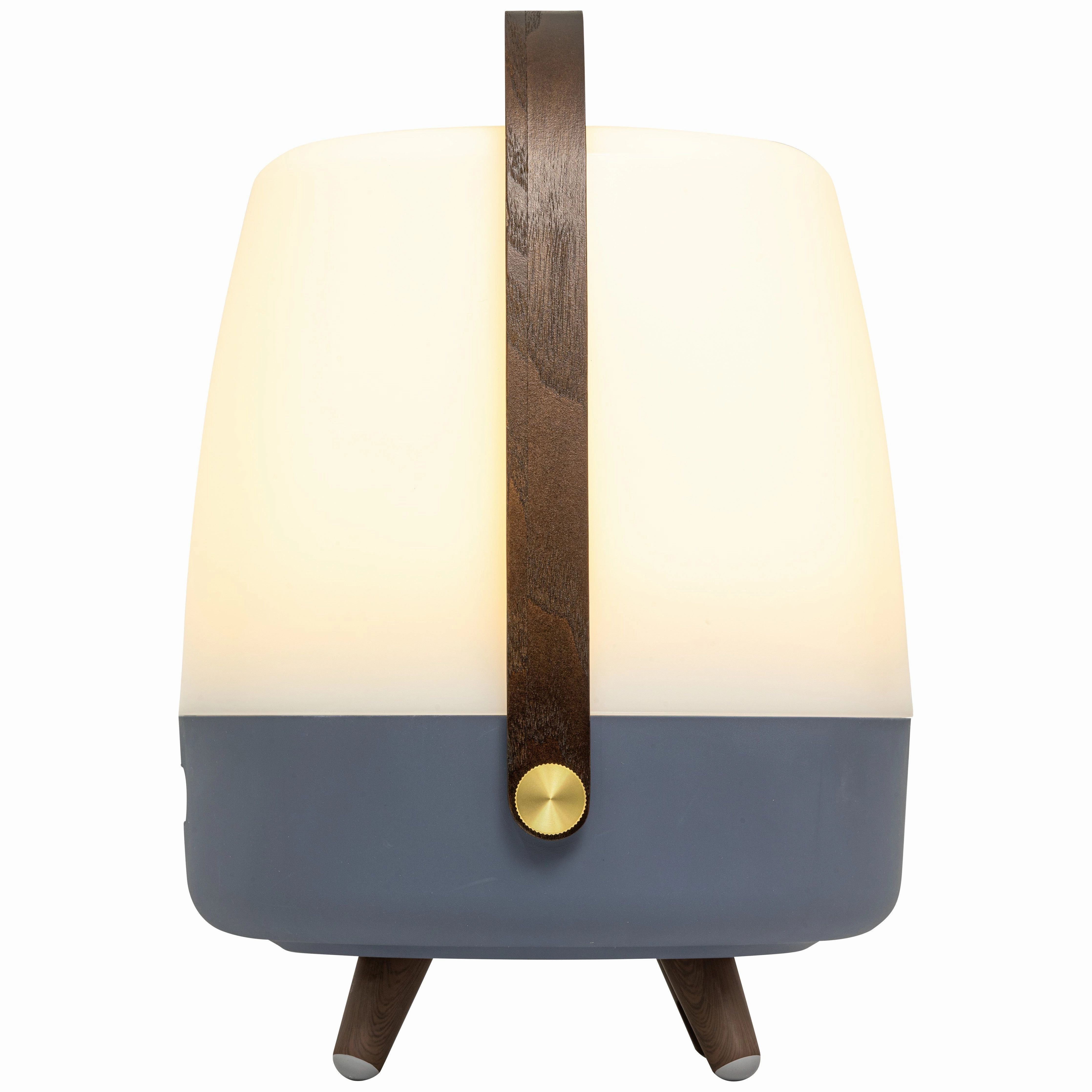 Lite Up Play Rechargeable Indoor/Outdoor Speaker Lamp
