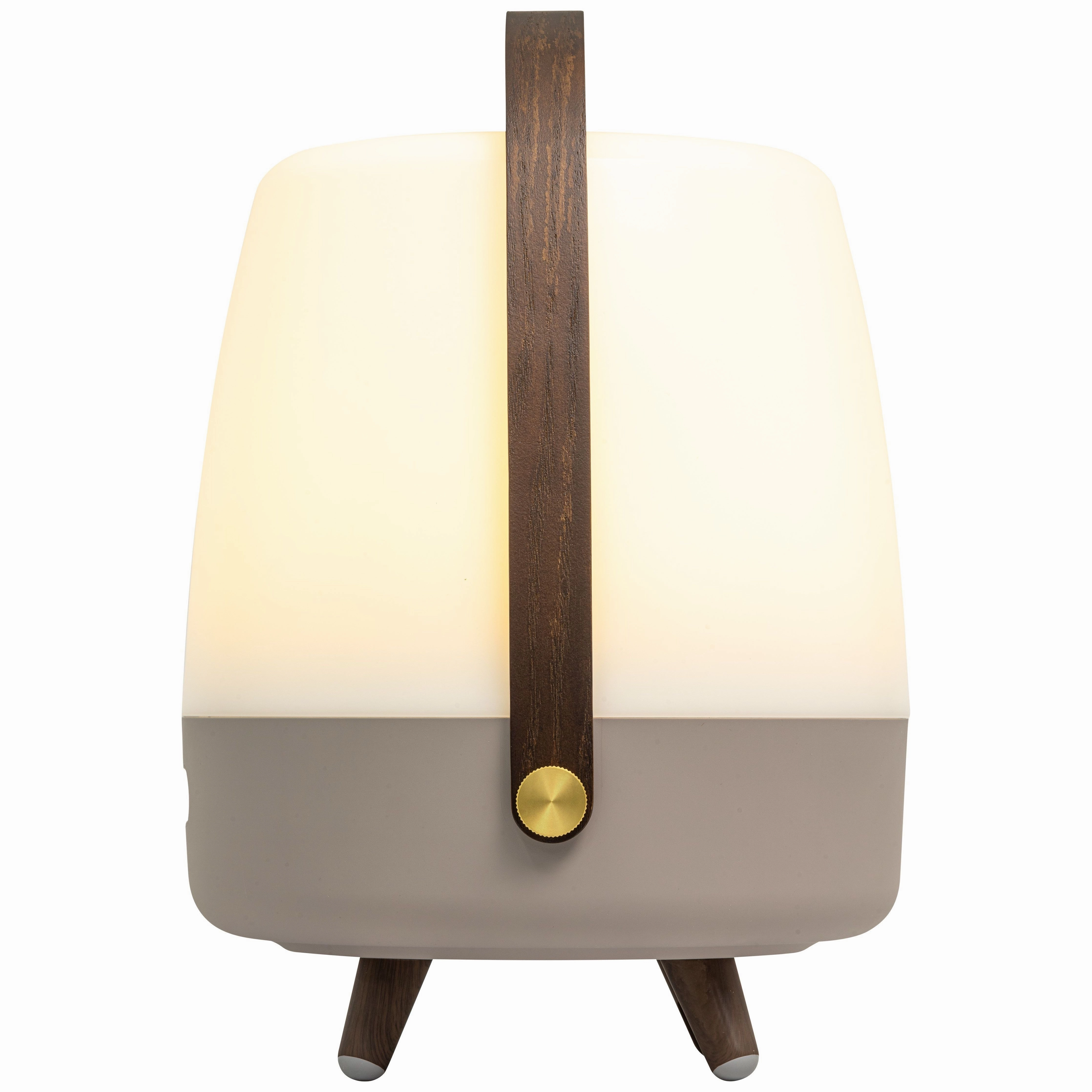 Lite Up Play Rechargeable Indoor/Outdoor Speaker Lamp