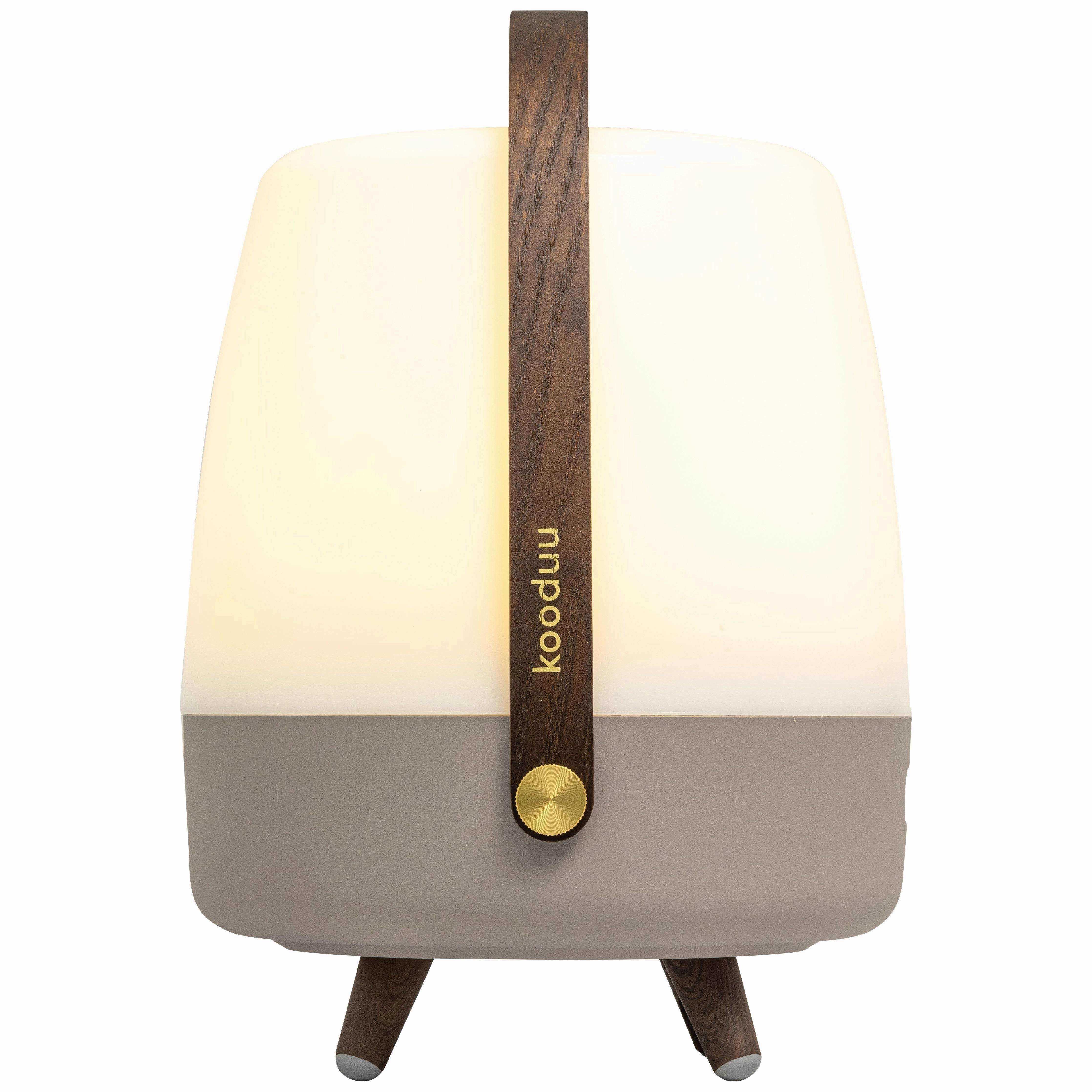Lite Up Play Rechargeable Indoor/Outdoor Speaker Lamp