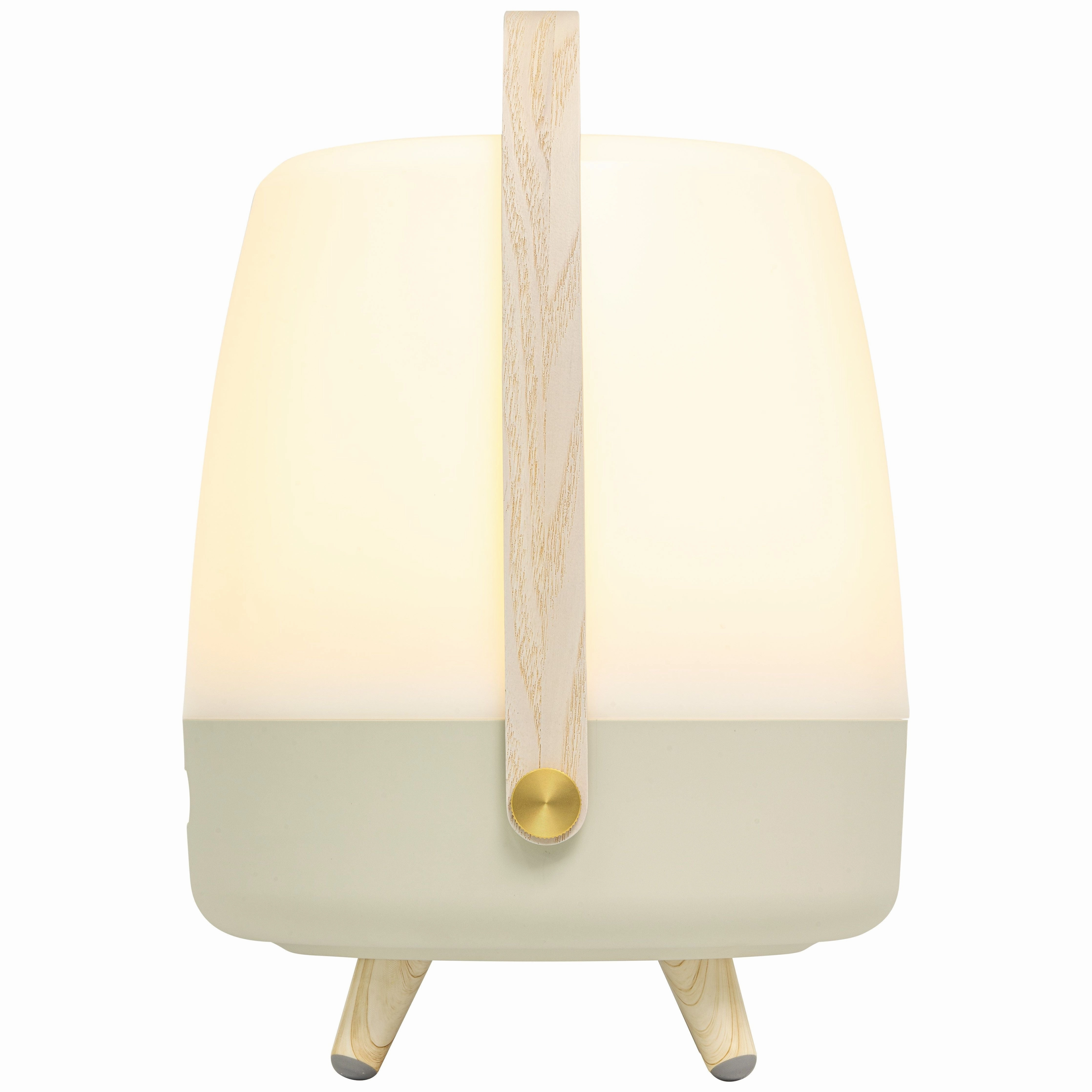 Lite Up Play Rechargeable Indoor/Outdoor Speaker Lamp